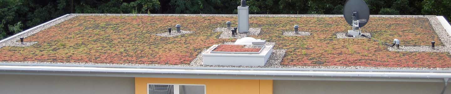 Extensive Dachbegrünung auf Trapezblech oder Holzbalkendecke - U. Bach